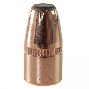 Hornady 25 60gr FP