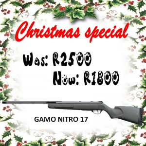 gamo-nitro-17