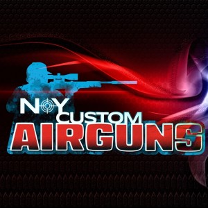 Custom Guns Cover