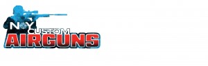 NY Customs Logo 1440x460