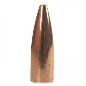 Hornady 17 25gr HP