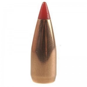 Hornady 22 40gr V-MAX