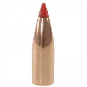 Hornady 22 55gr V-MAX