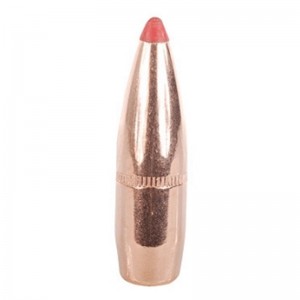 Hornady 338 200gr FTX