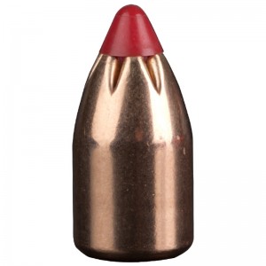 Hornady 452 250gr FTX