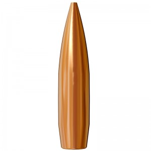 Lapua  338 250gr HPBT scenar