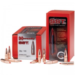 Reloading Bullets