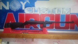 NYCA Gamo CFX