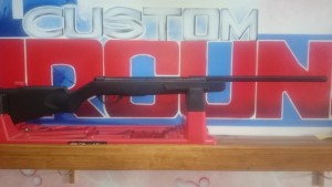 NYCA Gamo Nitro 17
