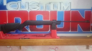 NYCA Gamo Shadow DX
