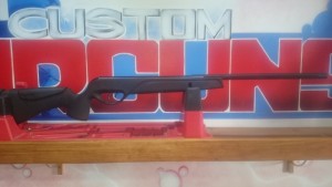 NYCA Gamo Socom Carbine Lux