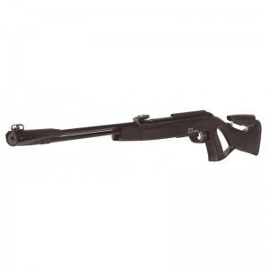 Gamo CFR Whisper IGT