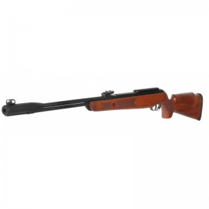 Gamo CFX Royal