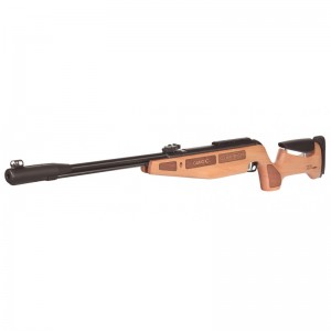 Gamo G Challenger