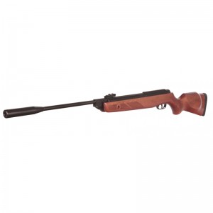 Gamo Hunter 1250