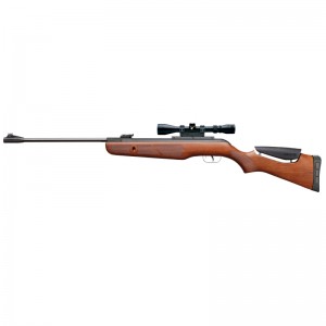 Gamo Hunter DX