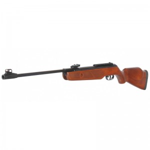 Gamo Hunter SE