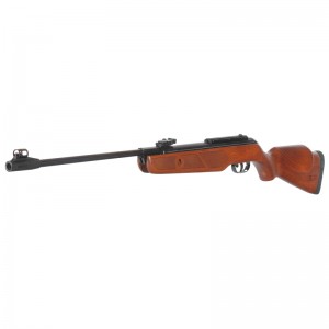 Gamo Hunter SE IGT