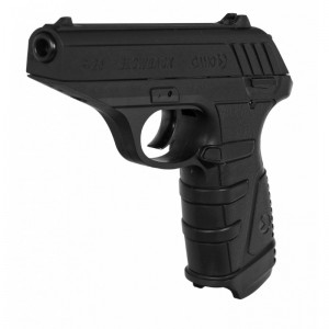 Gamo P25 1