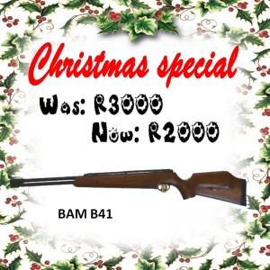 bam-b41