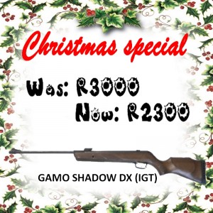 gamo-shadow-dx-igt