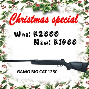 gamo-big-cat-1250