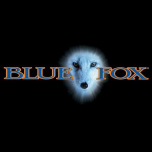 Blue Fox